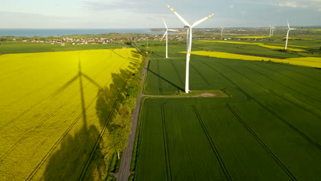 aerial view of roadside mustard farmland with rolling wind turbine, drone flying forward