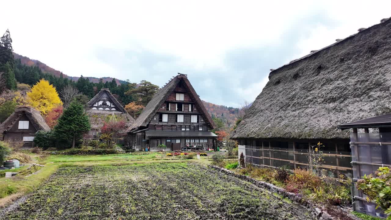 Traditional gassho style farmhouses stand amidst colorful autumn foliage in Shirakawa go, Japan, showcasing the region's unique architectural heritage