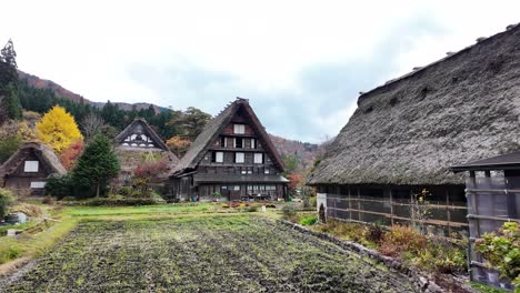 traditional gassho style farmhouses stand amidst colorful autumn foliage in shirakawa go, japan, showcasing the region's unique architectural heritage