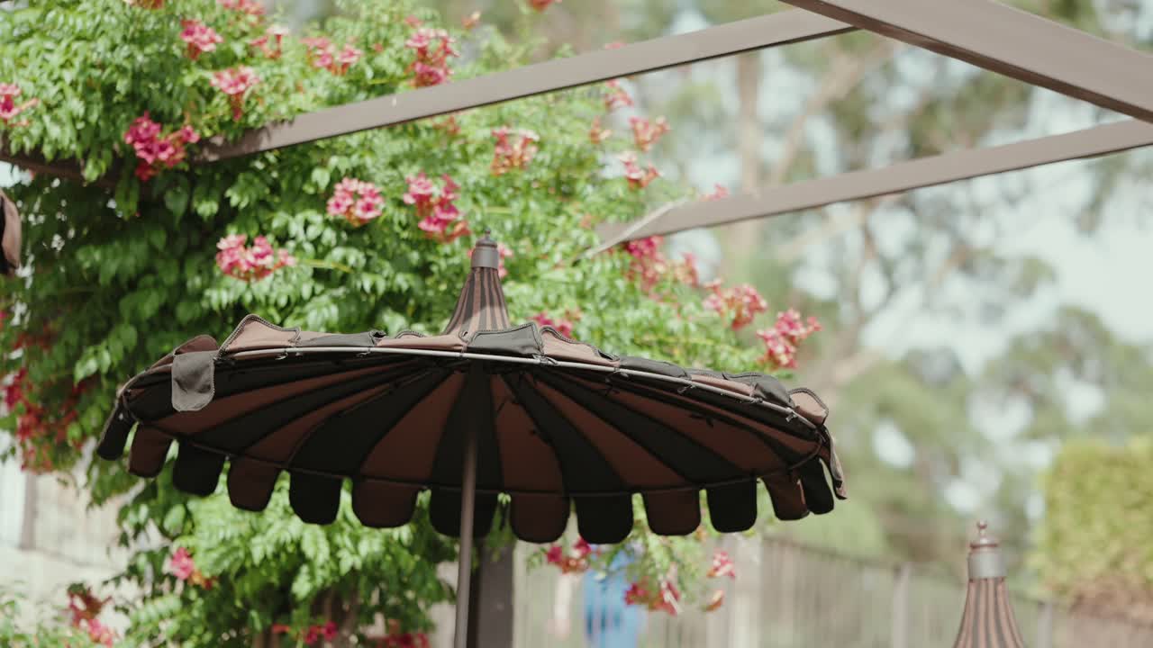 closed patio umbrella beneath pink blooms on a sunny peaceful day