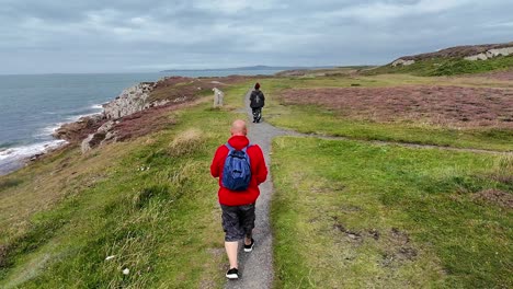 couple exploring sunny coastal pathway with their dog overlooking overcast north wales coastal path
