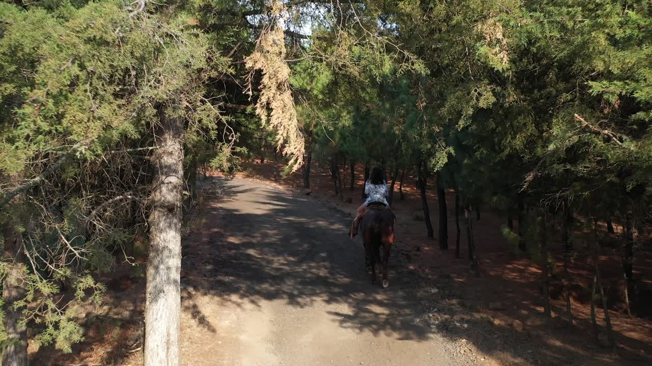Riding through the forest with joy.