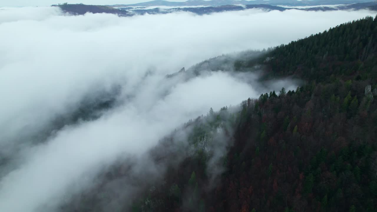 drone aerial, Misty forest autumn after rain, hills and mountains,