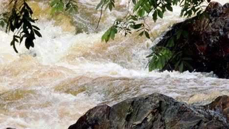 río caudaloso en la selva amazónica - recursos y suministro de agua dulce de brasil