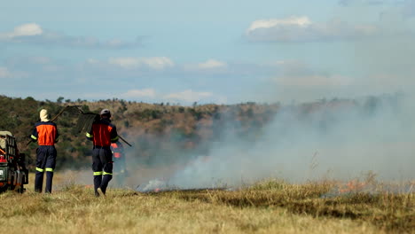 teamwork to control planned firebreak burn using fire beaters on game reserve