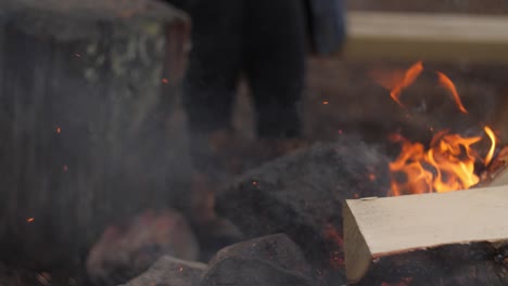 fuego en cámara lenta con madera en un bosque