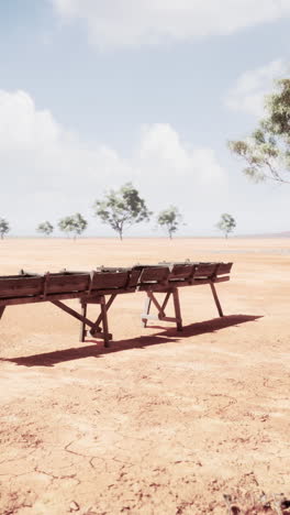 bancos de madera en un paisaje desértico