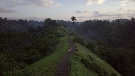 aerial: campuhan ridge walk in ubud bali