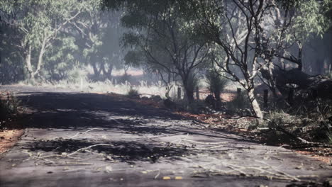 Asphalt-country-road-leading-through-rural-Senegal