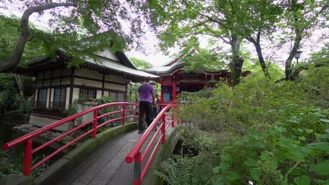 a father with his son cross the bridge in a shinto temple