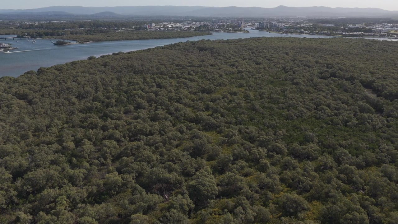 Denso bosque de la Isla Crab en la Costa Dorada, QLD, Australia. Toma aérea con dron.