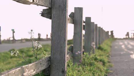 wooden fence and a footpath by the beach