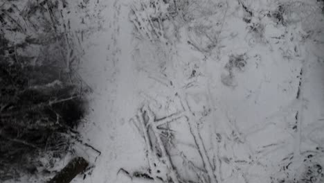 Fresh-Footprints-in-the-snow-along-a-lonely-forest-path,-aerial-track-god-view