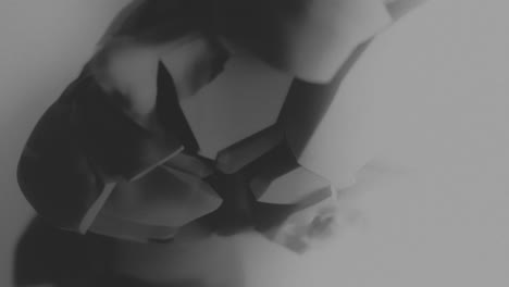 a broken mannequin head shell in xray