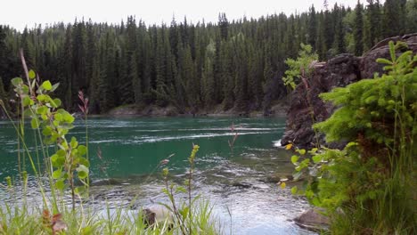 lakeside landscape at yukon river in miles canyon, long shot