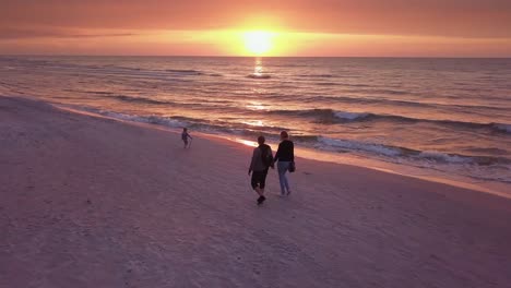 parents walking with a small child on a beach at sunset. happy family enjoying a walk on a beach. sunset beach walk drone footage.