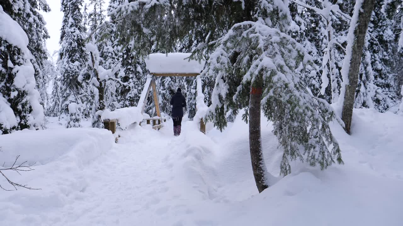 cámara lenta de la mujer caminando en el puente en el paisaje nevado de invierno en el bosque, tiro estático
