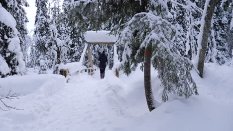 Zeitlupe-Einer-Frau,-Die-Auf-Einer-Brücke-In-Verschneiter-Winterlandschaft-Im-Wald-Weggeht,-Statische-Aufnahme