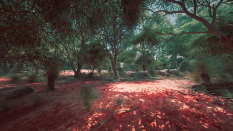 una vista de un bosque exuberante con tierra roja