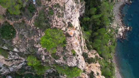 Nice-aerial-top-view-flight-Ibiza-cliff-Yoga-tree-pose-model-girl-sunset-evening