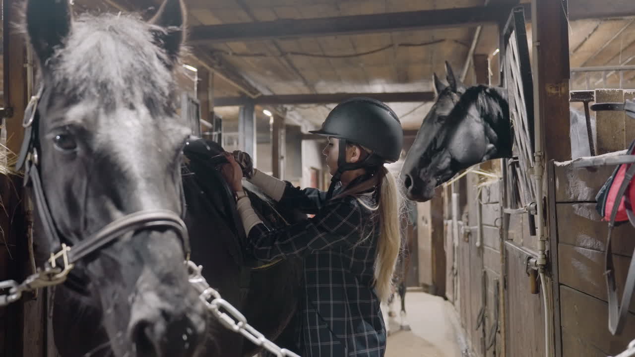 Mulher branca selando um cavalo preto. A cavaleira, usando capacete, ajusta a cilha e o estribo em um corredor movimentado do celeiro, um momento de educação prática em conjunto com as orientações do instrutor, sela e rédeas de couro sendo fixadas, focada.