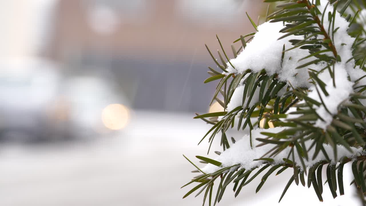 뉴저지 교외의 눈 내리는 날