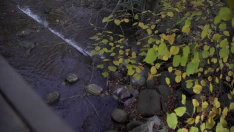 Cullen-Gardens-Central-Park-River-Over-the-Side-of-a-Footbridge-Panning-Shot-in-Slow-Motion