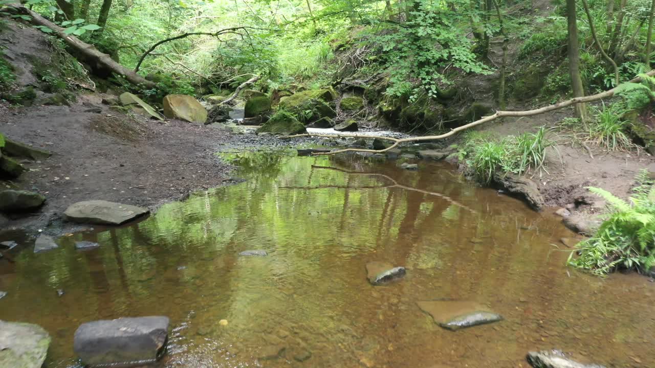 imágenes de drones bajas que avanzan a lo largo de un arroyo que es bajo debido a la sequía sobre rocas y debajo de los árboles