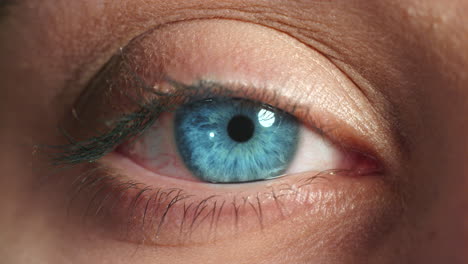 blue eyes, contact lens and woman for vision