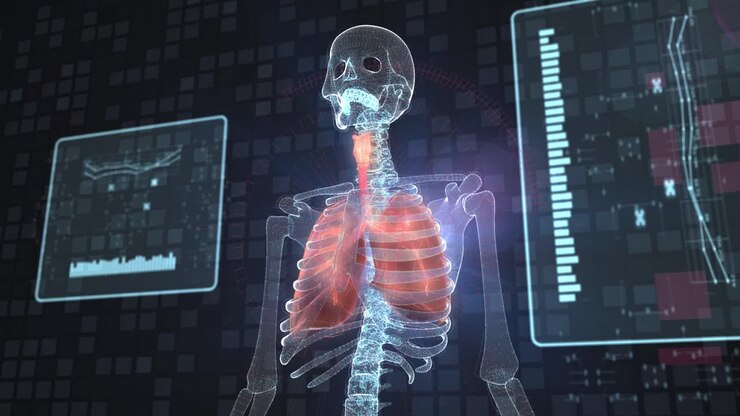 3D Human Respiratory System Visualization