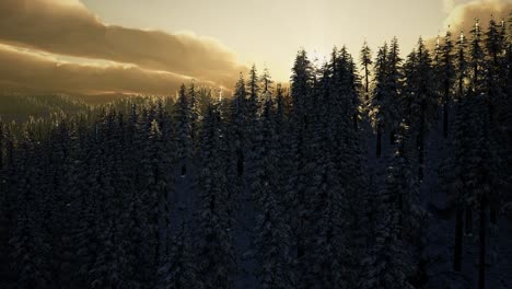 Winterlandschaft-Bei-Sonnenuntergang