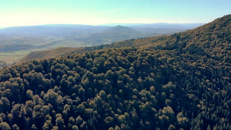 Thicket-Woods-On-Mountains-With-Volcanic-Lake-Of-Saint-Ann-In-Transylvania,-Romania