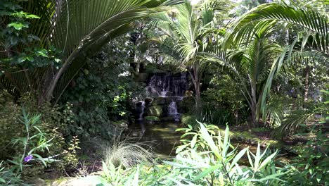 slow motion shot of small waterfall and natural pool in a tropical rainforest