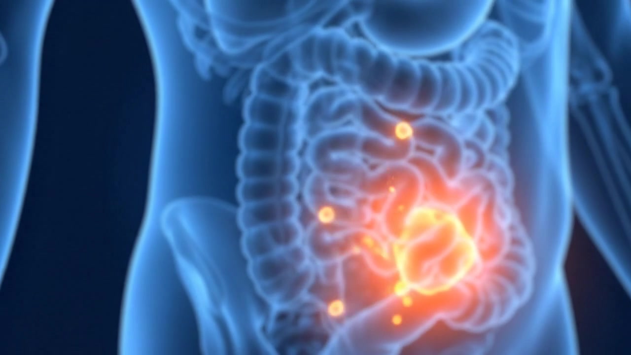 Digital scan of human torso anatomy
