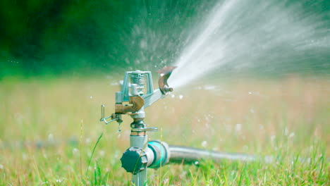 smart garden activated with full automatic sprinkler irrigation system working in a garden