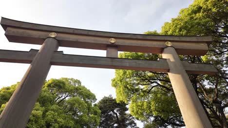 ootorii meiji jingu shrine largest wooden myojin-style torii gate tokyo japan