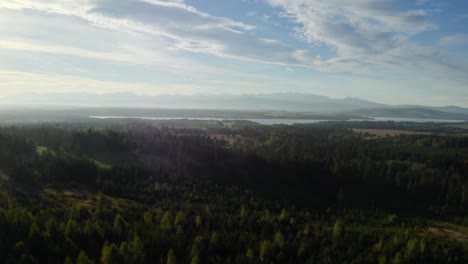 scenic view of mountains, forest, and lake