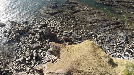 Rocky-shoreline-footage-captured-from-a-village-located-in-south-Devon,-England