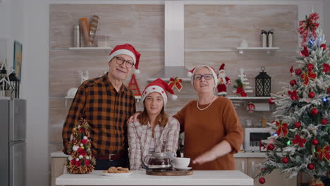 pov of grandparents with granddaughter discussing winter holiday with remote friends