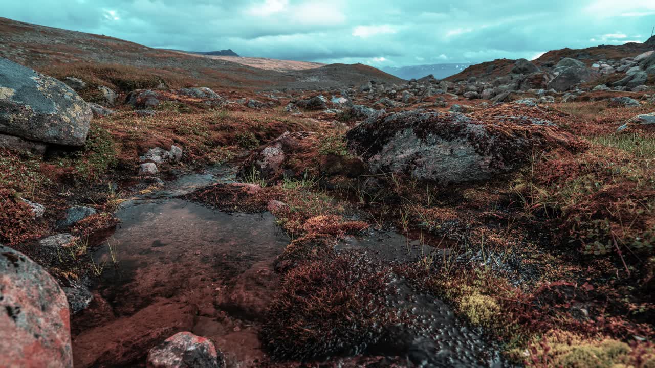 un arroyo poco profundo vaga entre las piedras cubiertas de musgo en la tundra de otoño