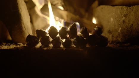 a stack of freshly foraged mussels slowly cook in front of an open log fire in an old fireplace