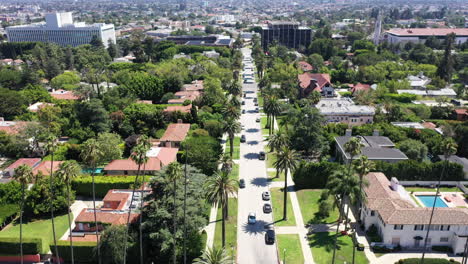 Drone-flies-over-palm-tree-and-mansion-lined-street,-with-white-car-driving-towards-camera,-in-beautiful-West-Hollywood,-Los-Angeles,-California,-USA