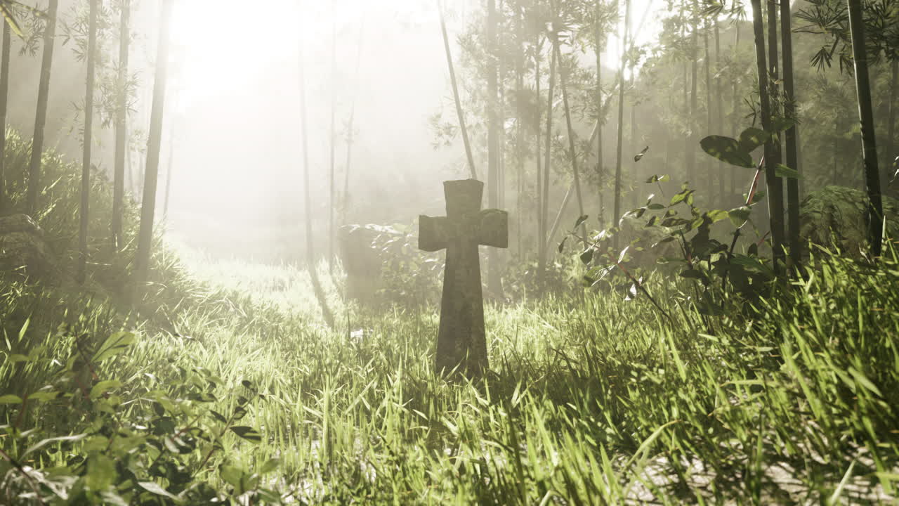 안개 숲 속 의 고대 십자가