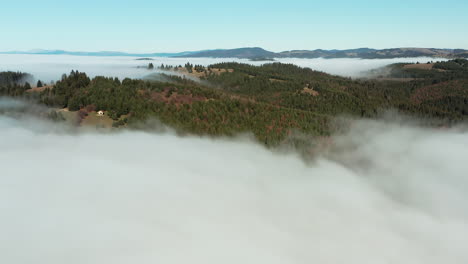 forested hills rise above thick layer of fog