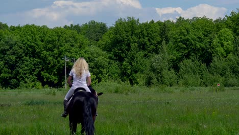 a beautiful girl in white hair and white clothes is riding a black brown stallion. the girl makes the horse perform various beautiful movements. the girl's hair develops in the wind. sunny summer day on a green glade.