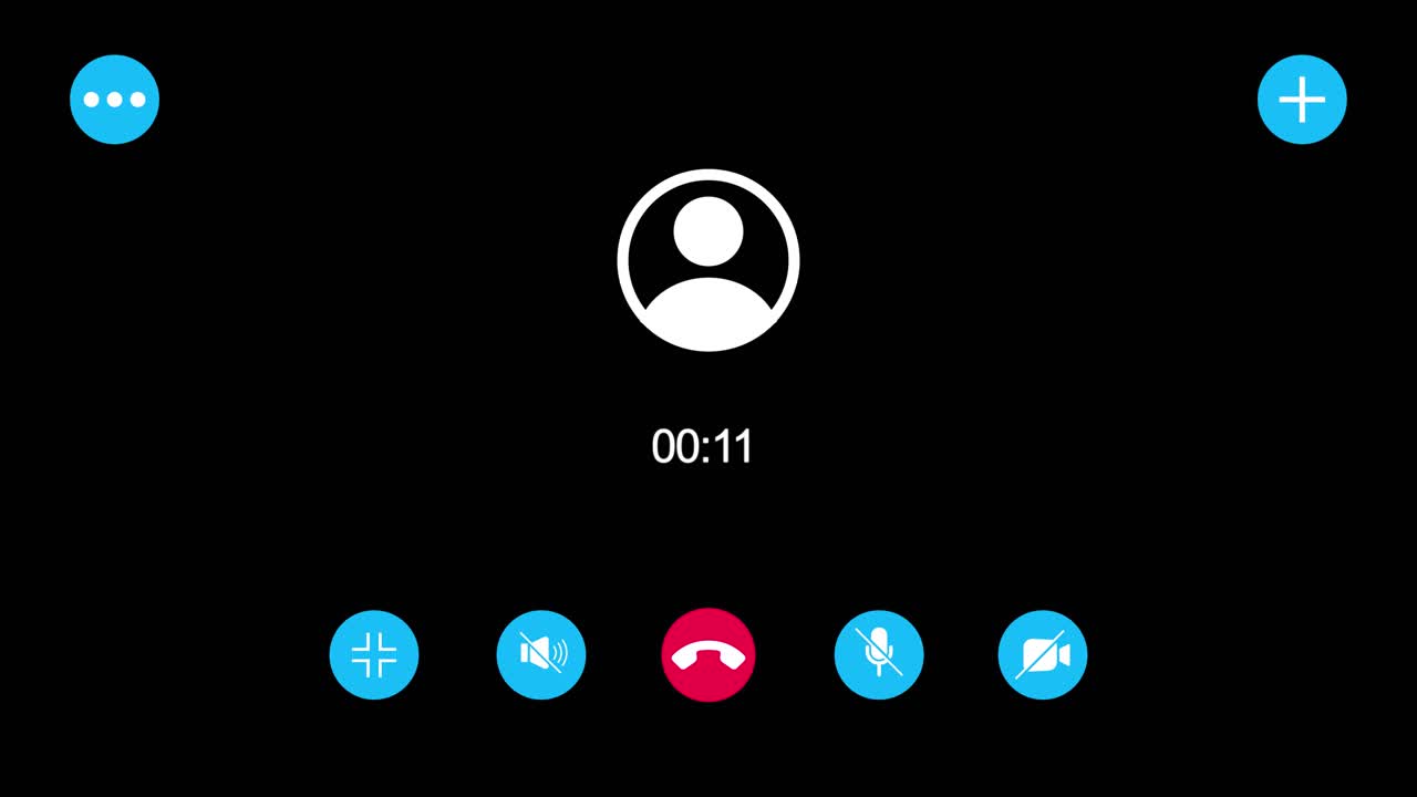 Video Call Interface