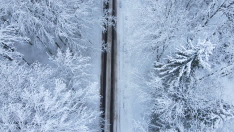 top down view of road through frozen forest with snow during winter - aerial drone shot