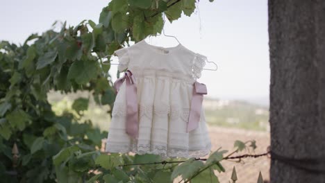 adorable baby dress with lace and pink bows hanging from a branch outdoors, creating a charming and picturesque scene