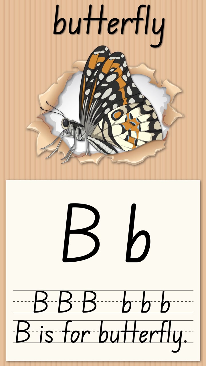 Video educativo animato che insegna la lettera B con un'illustrazione di farfalla e righe per esercitarsi nella scrittura.