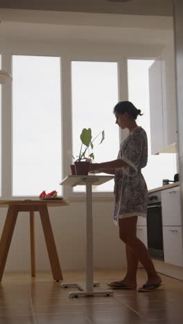 woman caring for houseplants in a kitchen